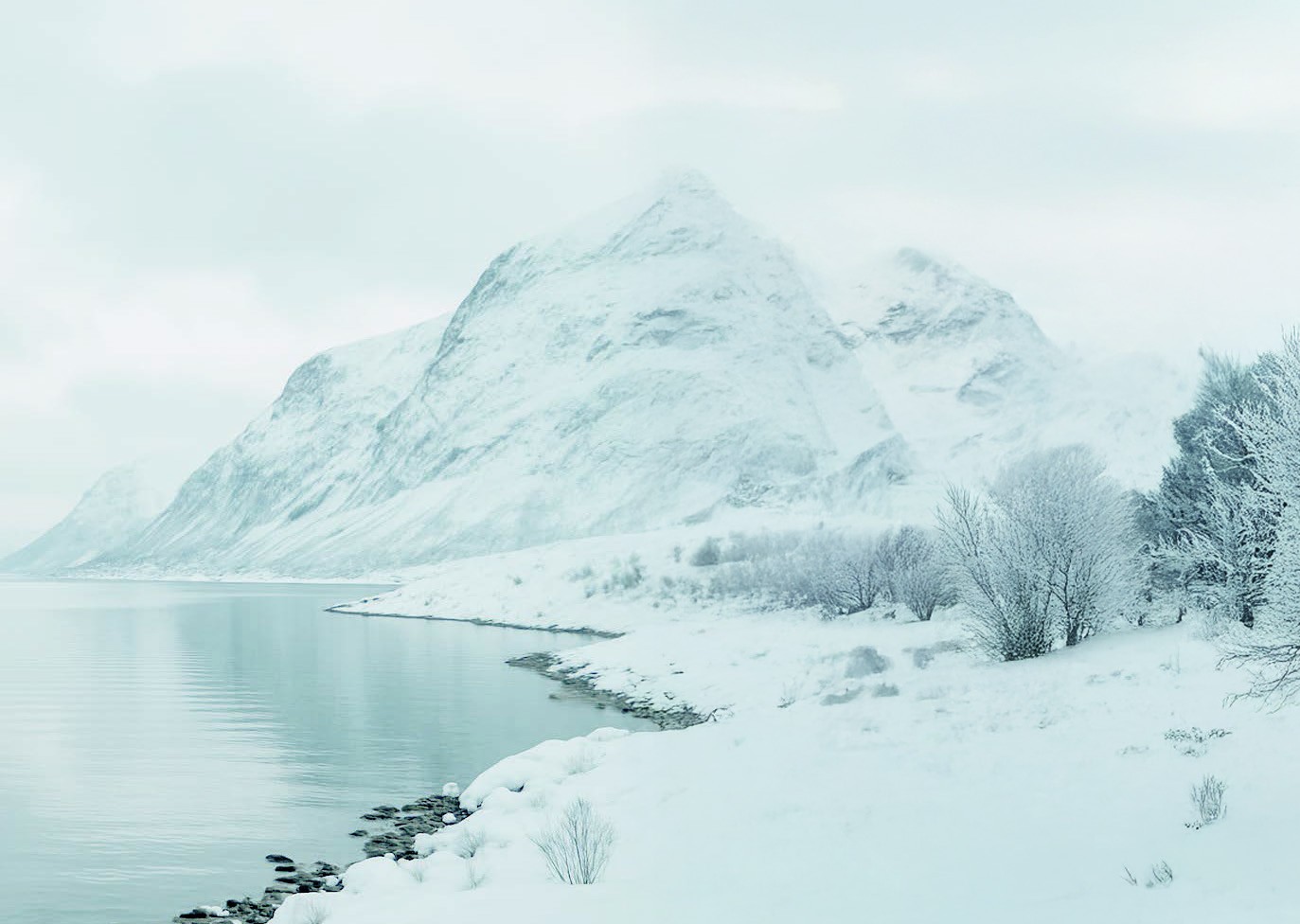 Nordic wellness